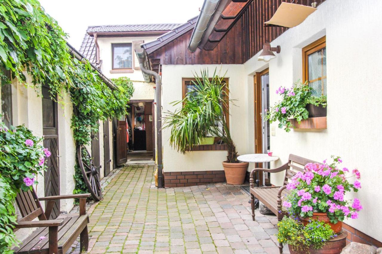 Likedeeler 3 Apartment Zingst Exterior foto